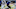 Buffalo Bulls Buffalo Bulls