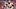 Nick Chubb, Cleveland Browns Nick Chubb, Cleveland Browns