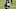 Philadelphia Eagles Philadelphia Eagles