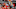 LUBBOCK, TX – JANUARY 13: Brandone Francis LUBBOCK, TX – JANUARY 13: Brandone Francis