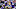 Minnesota Vikings (Photo by Dylan Buell/Getty Images) Minnesota Vikings (Photo by Dylan Buell/Getty Images)
