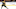 Boston Bruins
