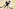 Phoenix Suns, Montrezl Harrell Phoenix Suns, Montrezl Harrell