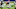 Dallas Cowboys Dallas Cowboys