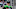 Callum Ilott, Juncos Hollinger Racing, IndyCar Callum Ilott, Juncos Hollinger Racing, IndyCar