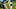 FanDuel MLB FanDuel MLB