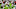 justin fields, 2021 nfl draft, mock draft justin fields, 2021 nfl draft, mock draft