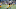 2019 NFL Draft prospect Miles Boykin (Photo by Joe Robbins/Getty Images) 2019 NFL Draft prospect Miles Boykin (Photo by Joe Robbins/Getty Images)