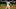 DraftKings DraftKings
