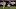 Fantasy Football - Bears WR Allen Robinson Fantasy Football - Bears WR Allen Robinson