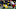 ANN ARBOR, MI ā NOVEMBER 17: Michigan Wolverines defensive lineman Chase Winovich (15) rushes during a game between the Indiana Hoosiers and the Michigan Wolverines (4) on November 17, 2018 at Michigan Stadium in Ann Arbor, Michigan. (Photo by Scott W. Grau/Icon Sportswire via Getty Images ANN ARBOR, MI ā NOVEMBER 17: Michigan Wolverines defensive lineman Chase Winovich (15) rushes during a game between the Indiana Hoosiers and the Michigan Wolverines (4) on November 17, 2018 at Michigan Stadium in Ann Arbor, Michigan. (Photo by Scott W. Grau/Icon Sportswire via Getty Images