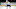 Detroit Red Wings, William Nylander