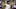 Cleveland Cavaliers Isaiah Stewart Cleveland Cavaliers Isaiah Stewart