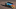 Kyle Busch, NASCAR Kyle Busch, NASCAR