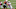 Chicago Bears, Brenden Jaimes Chicago Bears, Brenden Jaimes