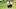 PGA Tour, 2021-22 PGA Tour Season, Golf, Rankings, Rory McIlroy