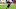 Leonard Fournette, Tampa Bay Buccaneers, (Photo by Mike Ehrmann/Getty Images) Leonard Fournette, Tampa Bay Buccaneers, (Photo by Mike Ehrmann/Getty Images)