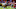 Kansas City Chiefs Kansas City Chiefs