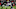 New England Patriots New England Patriots