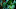 League of Legends League of Legends