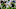 Philadelphia Eagles Zach Wilson Philadelphia Eagles Zach Wilson