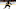 anders bjork bruins forward anders bjork bruins forward