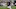 college football college football
