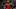 CHARLOTTE, NC – NOVEMBER 15: LeBron James