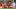 Liverpool Spurs Champions League final Liverpool Spurs Champions League final