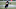 Seattle Seahawks Seattle Seahawks