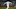 Federico Valverde Federico Valverde