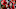 DraftKings DraftKings