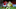 Arsenal, Kido Taylor-Hart Arsenal, Kido Taylor-Hart