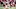 Atlanta Falcons Atlanta Falcons