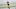 Green Bay Packers