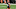 Philadelphia Eagles Philadelphia Eagles