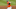 Clemson baseball Clemson baseball
