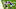 Chicago Bears, Allen Robinson Chicago Bears, Allen Robinson