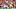 PASADENA, CA – JANUARY 02: Cornerback John Reid
