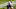 Chicagoi Bears/ Mike Dinovo-USA TODAY Sports Chicagoi Bears/ Mike Dinovo-USA TODAY Sports