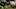 Kirby Lee/Image of Sport-USA TODAY Sports Kirby Lee/Image of Sport-USA TODAY Sports