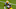 Green Bay Packers Green Bay Packers