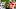 KC Chiefs; Kansas City Chiefs KC Chiefs; Kansas City Chiefs