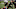 Dallas Cowboys, 2021 NFL Draft Dallas Cowboys, 2021 NFL Draft