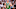Boston Celtics (Photo by Michael Reaves/Getty Images)