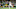 Notre Dame football