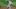 Detroit Tigers, Jonathan Schoop Detroit Tigers, Jonathan Schoop