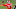 Dec 24, 2020; Frisco, Texas, USA; Houston Cougars quarterback Clayton Tune (3) passes the ball against Hawaii Warriors during the second half at Toyota Stadium. Mandatory Credit: Tim Flores-USA TODAY Sports