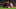 Arsenal, Aaron Ramsey Arsenal, Aaron Ramsey