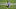 Jalen Hurts (Photo by Dylan Buell/Getty Images) Jalen Hurts (Photo by Dylan Buell/Getty Images)